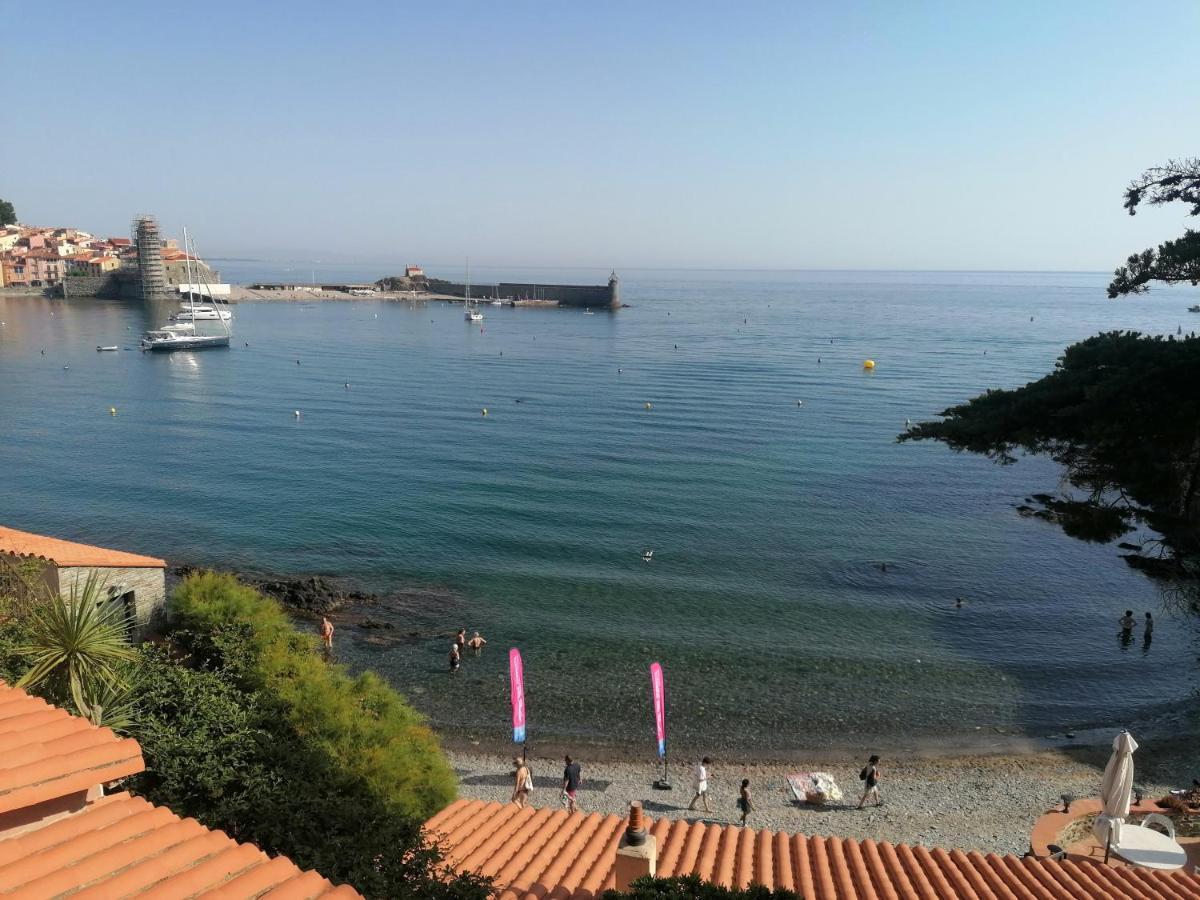 Charmant Appartement De Vacances Au Coeur D'Argeles Buitenkant foto